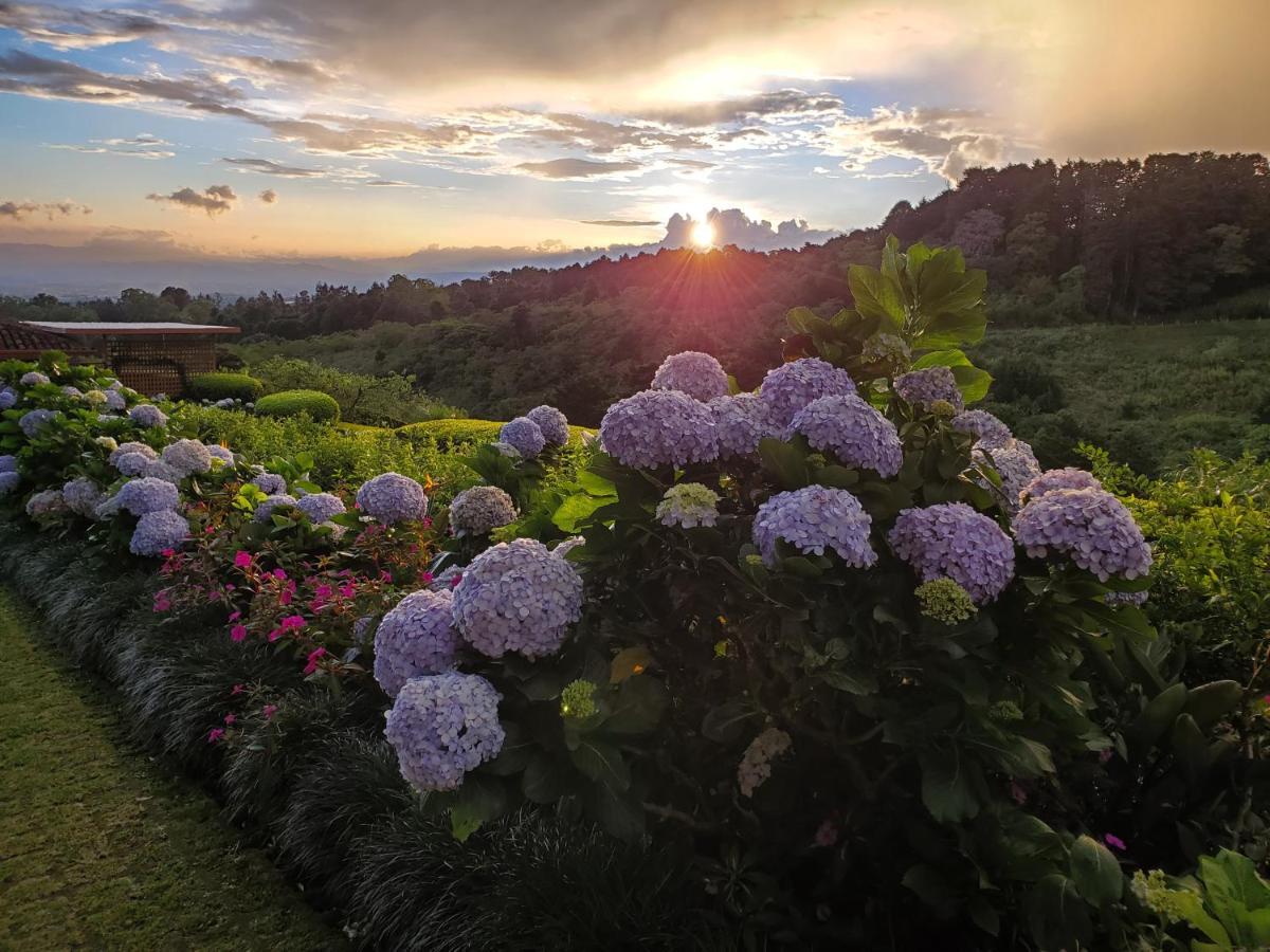 Hotel Finca Paraiso Mountain Retreat Near San Jose Airport Birrí Zewnętrze zdjęcie